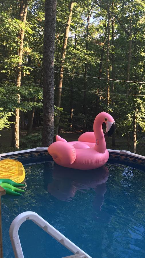 Pocono Cabin With Private Pool At Shawnee Mtn Ийст Страудсбърг Екстериор снимка